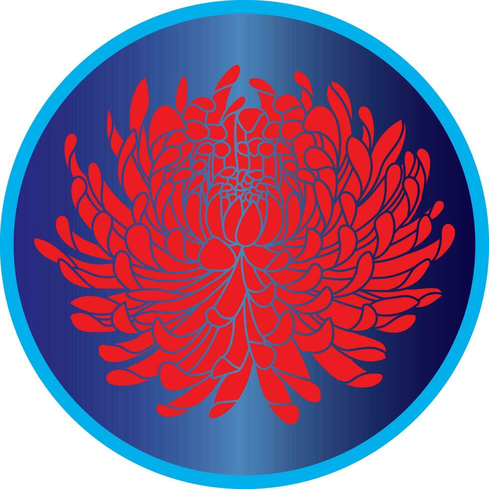 illustrazione di rosso crisantemo fiore su blu cerchio sfondo. vettore