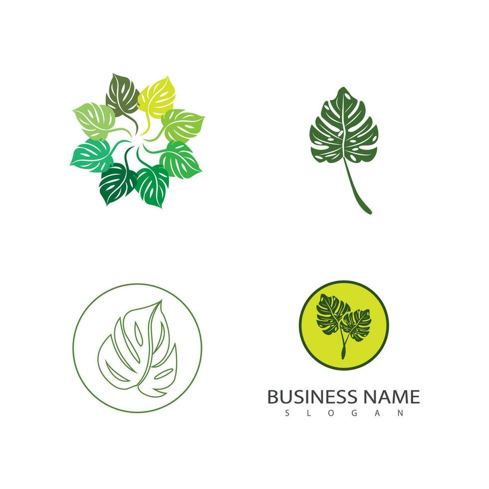 Monstera logo vettore modello simbolo design