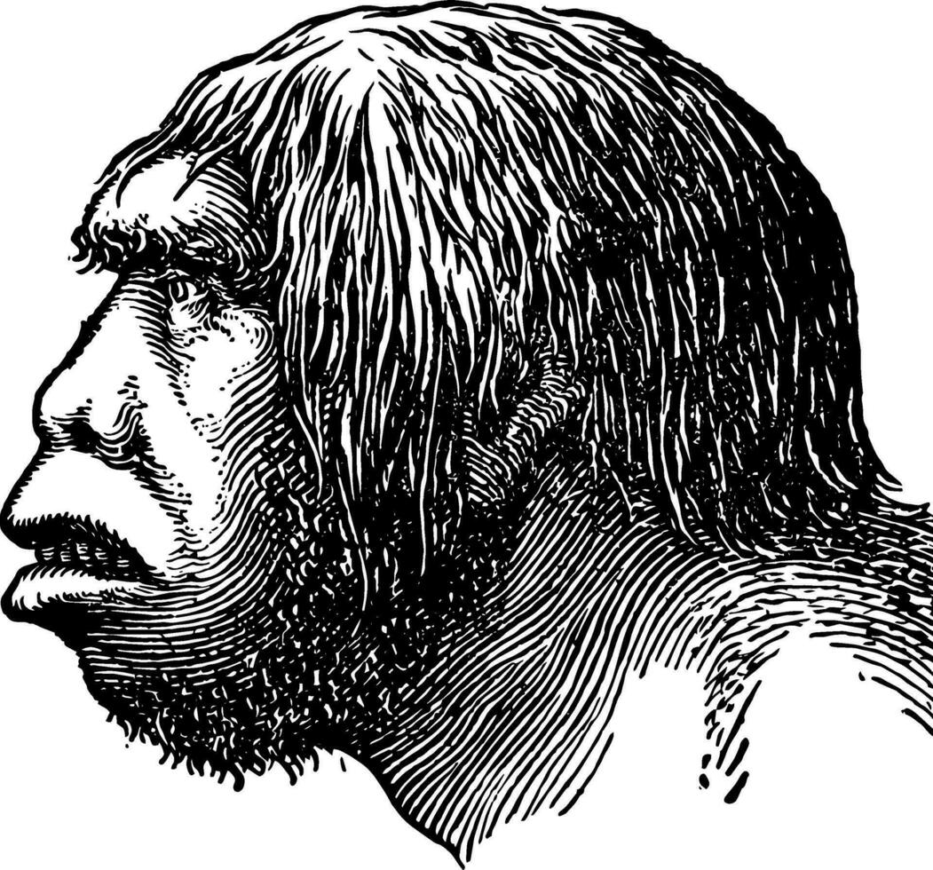 neandertaliano uomo, Vintage ▾ illustrazione vettore
