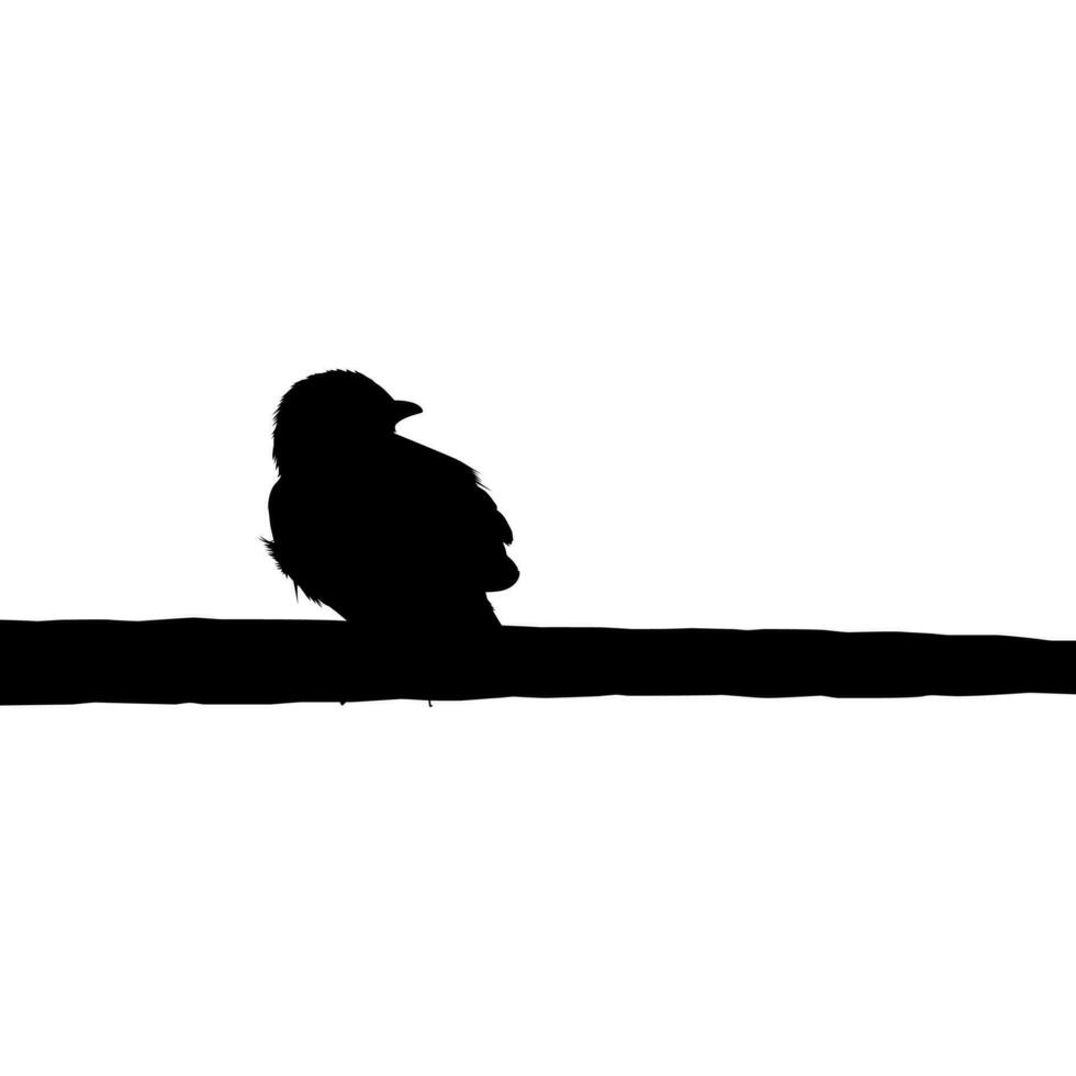 silhouette di il uccello arroccato su il elettrico filo base su mio fotografia. vettore illustrazione