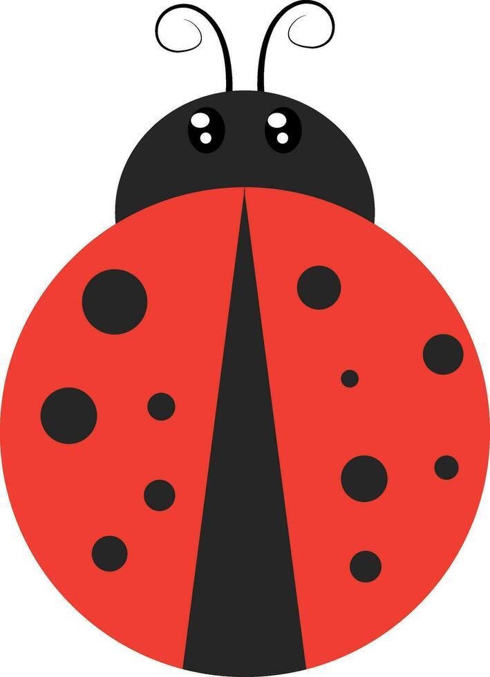 coccinella piatto, illustrazione, vettore su bianca sfondo