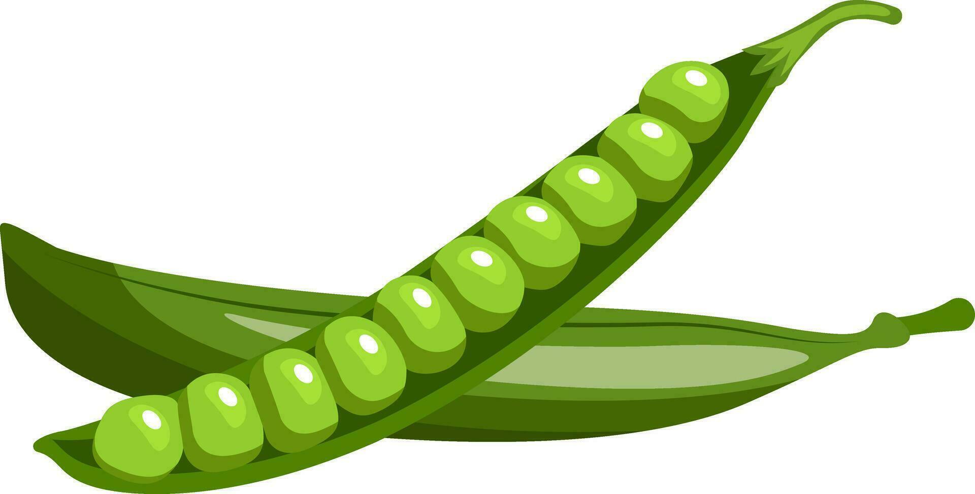cartone animato di verde piselli vettore illustrazione su bianca sfondo.