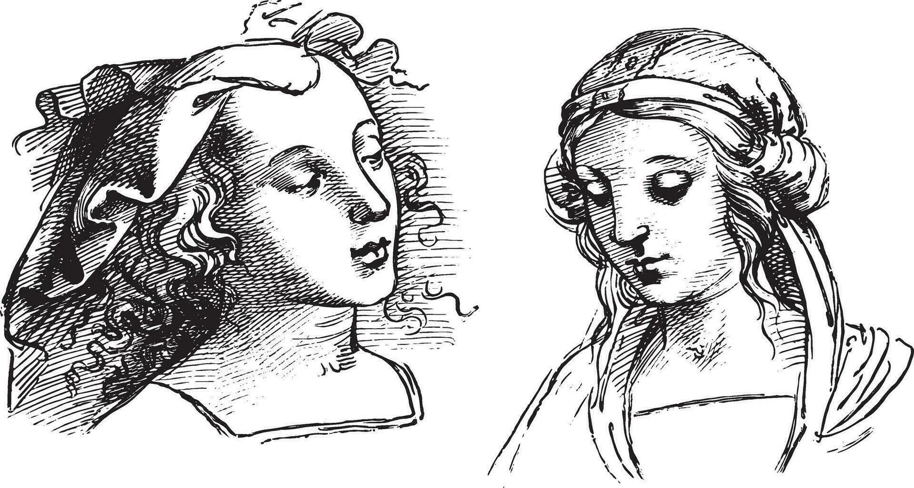 disegni di Raffaello, a il accademia di bene arti nel Venezia, Vintage ▾ incisione. vettore