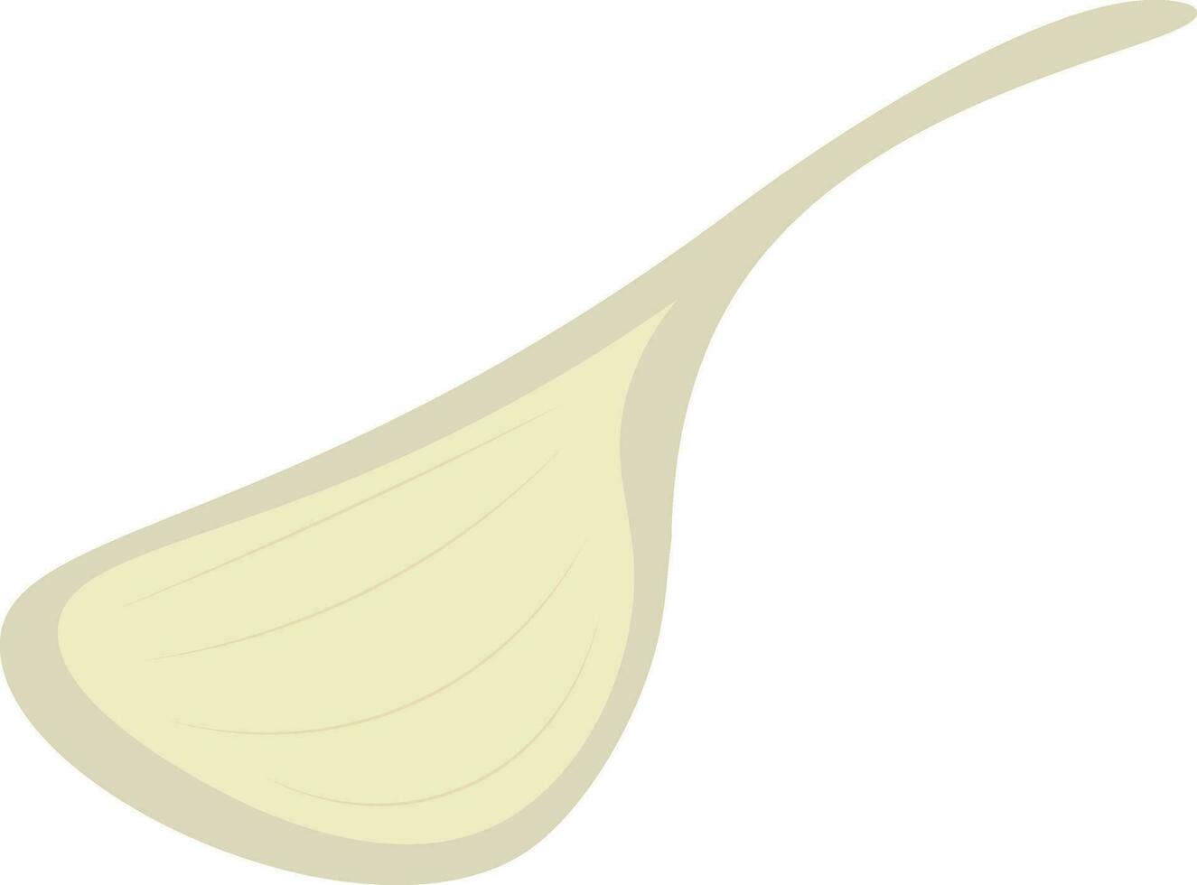 singolo Chiodo di garofano di il Spezia con forte odore chiamato aglio vettore colore disegno o illustrazione