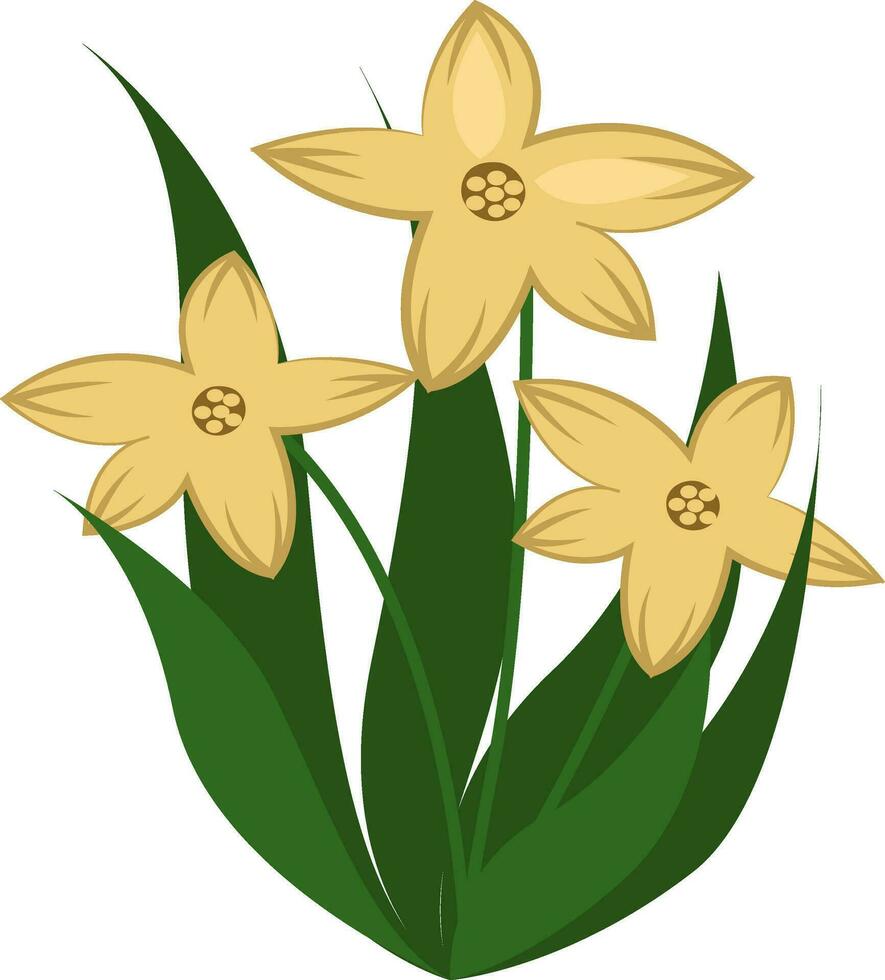 tre giallo fiori, illustrazione, vettore su bianca sfondo