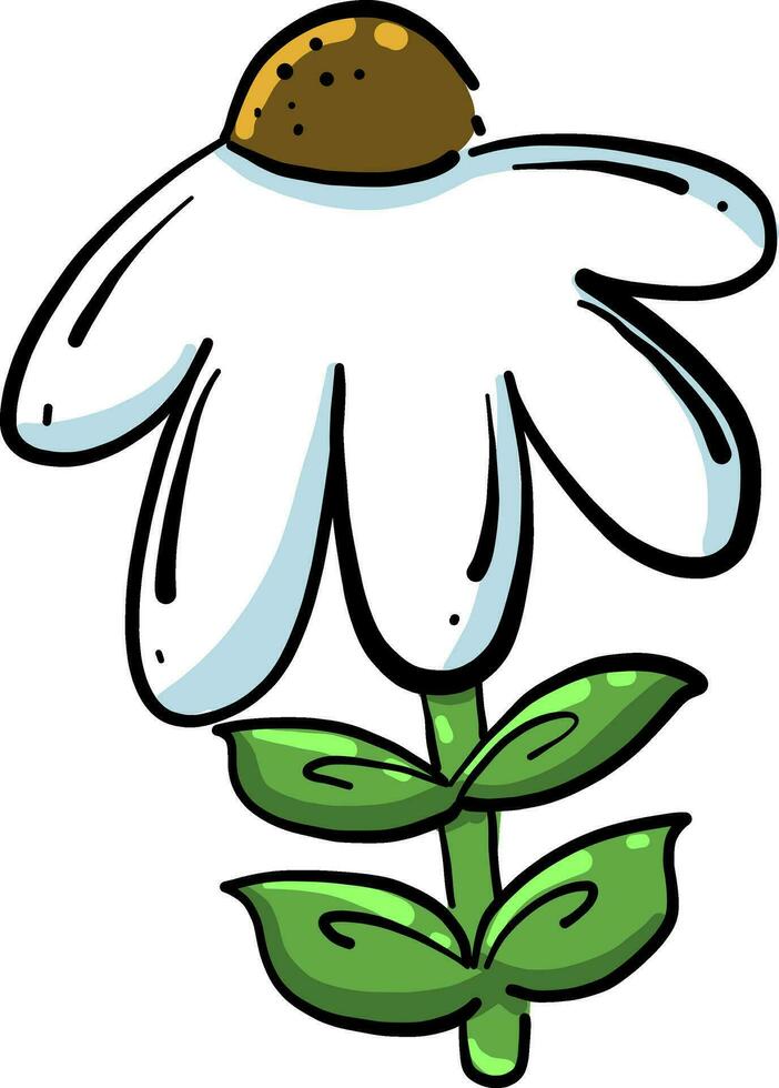 bianca camomilla fiore, illustrazione, vettore su bianca sfondo