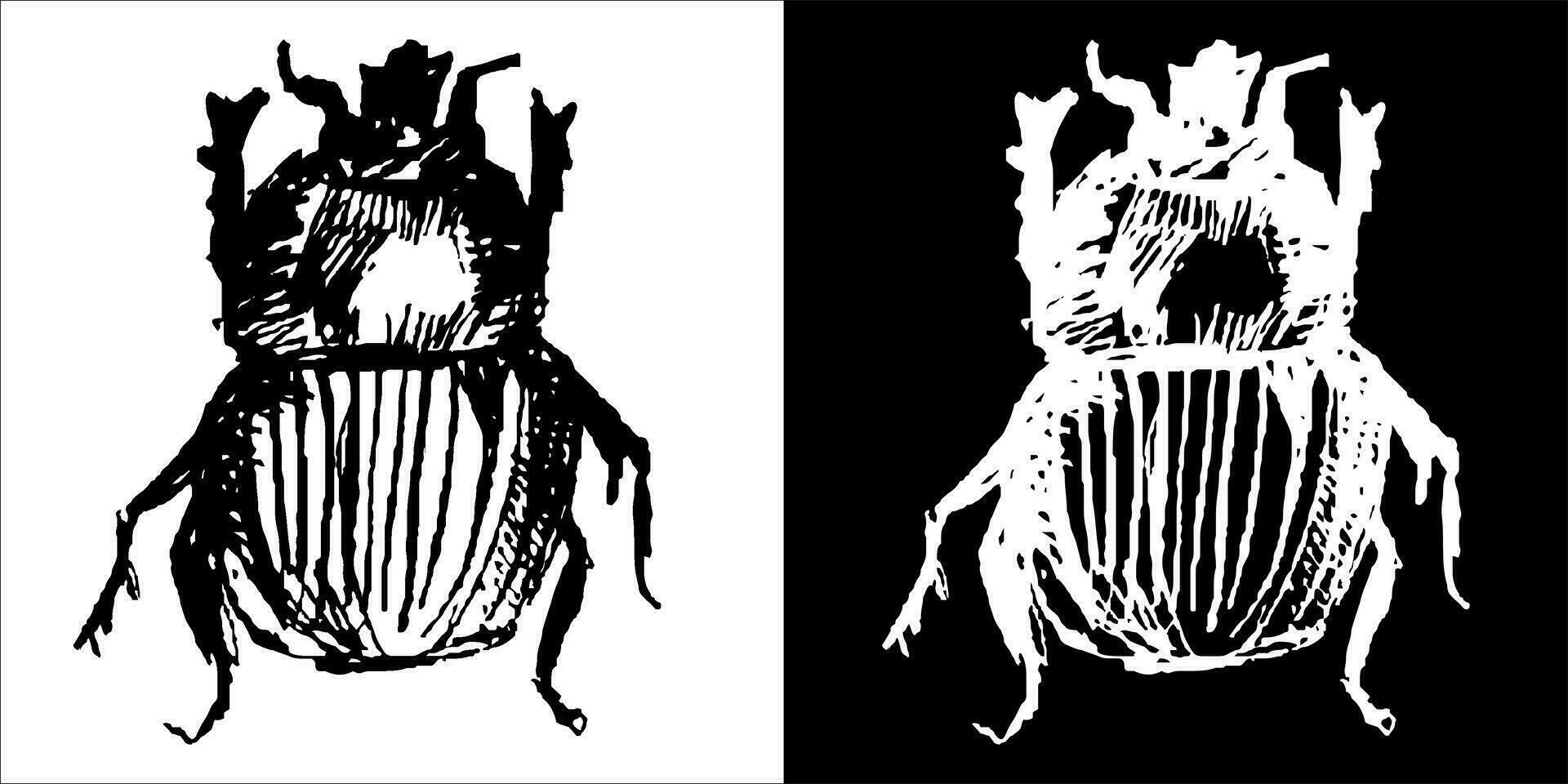 illustrazione vettore grafica di insetto icona