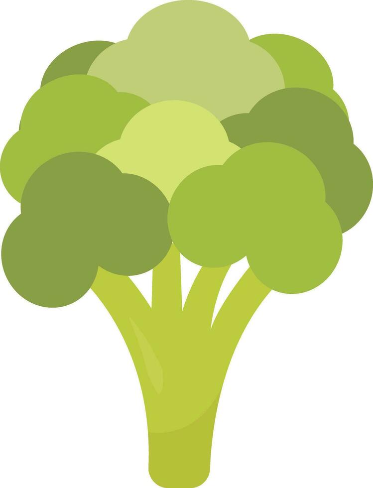 verde broccoli, illustrazione, vettore su bianca sfondo.