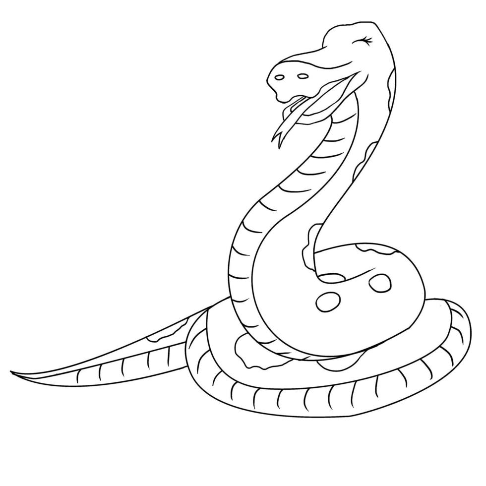 illustrazione vettoriale animale serpente carino disegnato a mano isolato in uno sfondo bianco