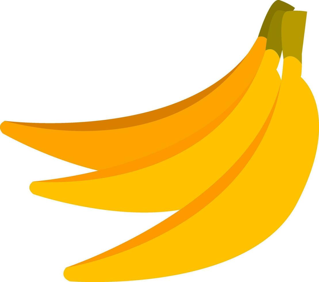 banane vettore o colore illustrazione