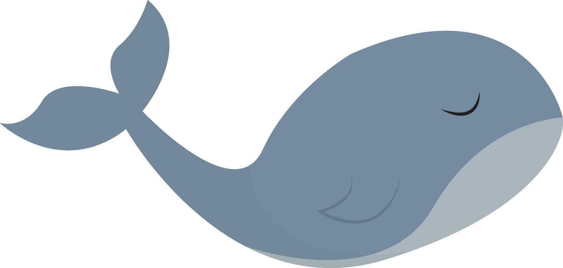 clipart di un' balena impostato isolato bianca sfondo visto a partire dal il lato, vettore o colore illustrazione