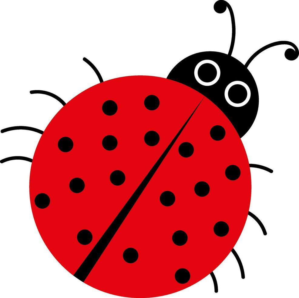 un' rosso coccinella, vettore o colore illustrazione.