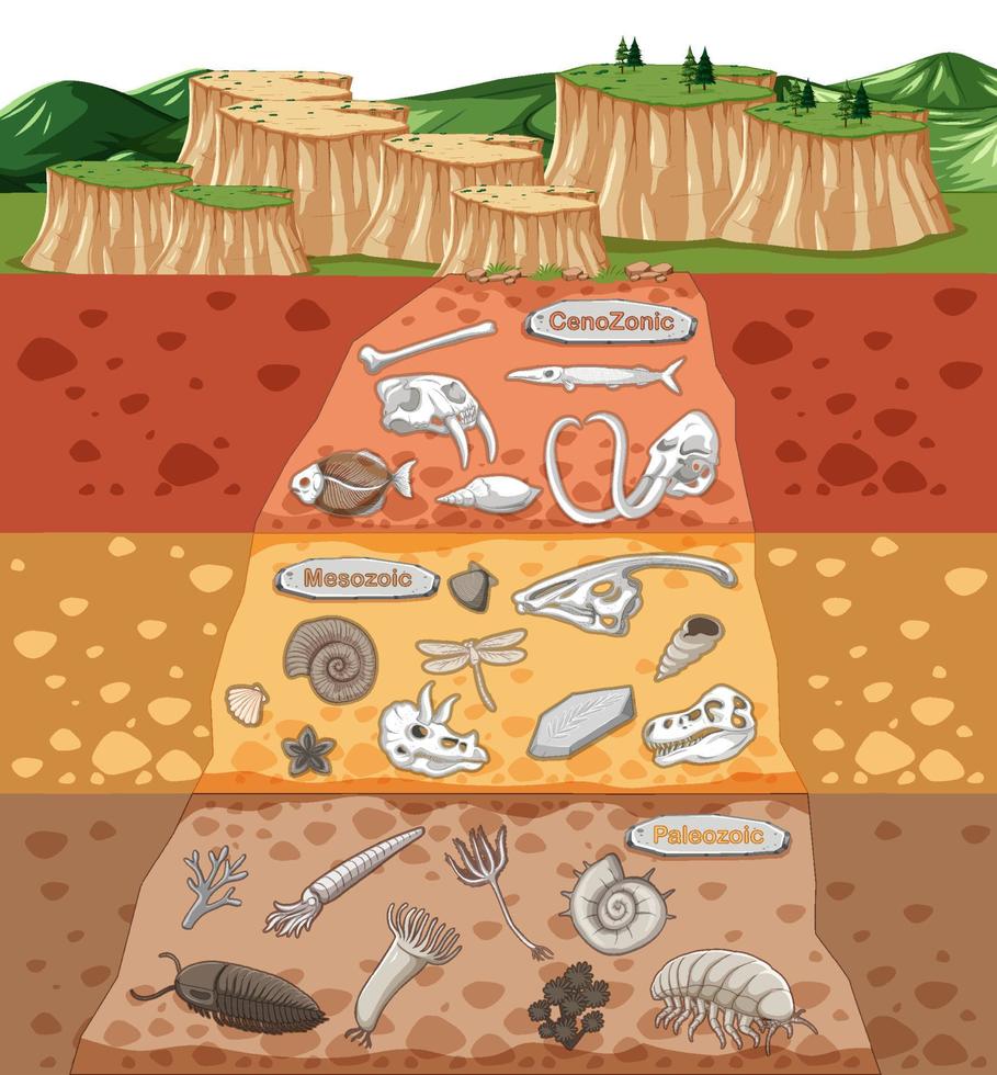 scena con varie ossa di animali e fossili di dinosauri negli strati del suolo vettore