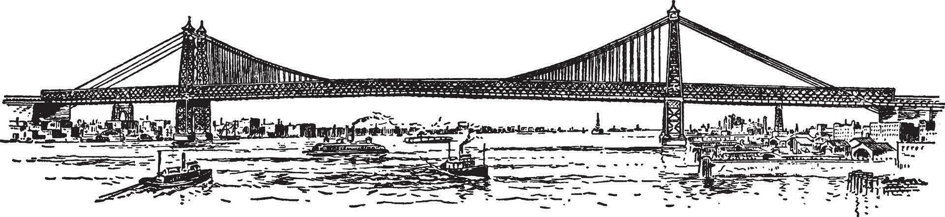 williamsburg ponte, Vintage ▾ illustrazione. vettore