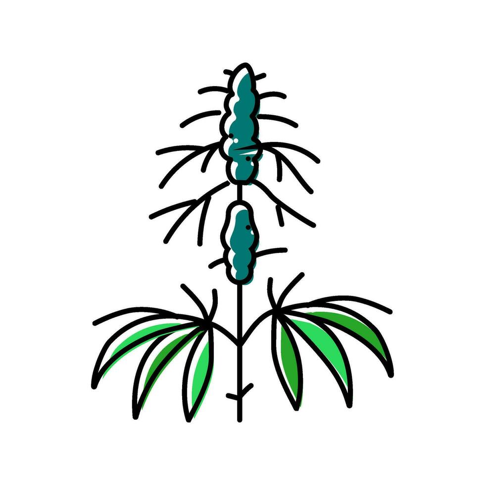 canapa pianta erba colore icona vettore illustrazione