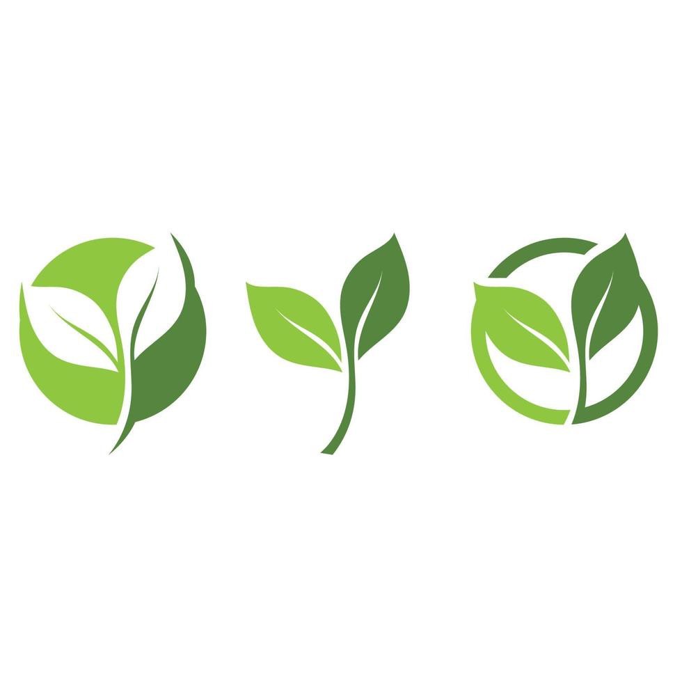 foglia verde logo e simbolo modello vettoriale gratis