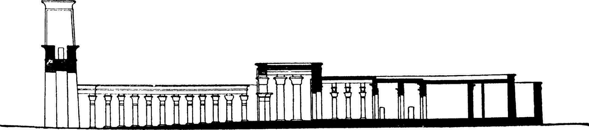 tempio di edfu sezione, antico egiziano tempio, Vintage ▾ incisione. vettore