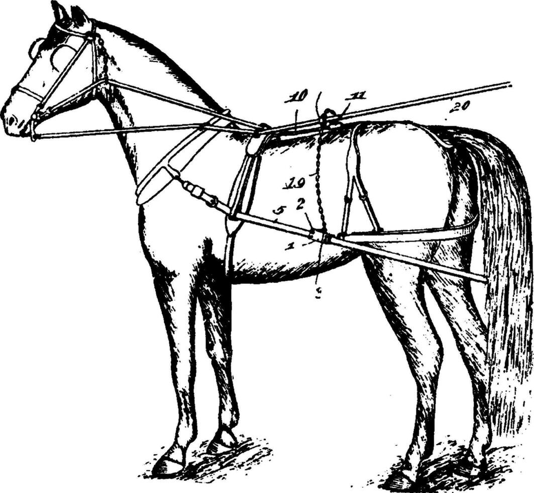 cavallo distaccante imbracatura, Vintage ▾ illustrazione. vettore