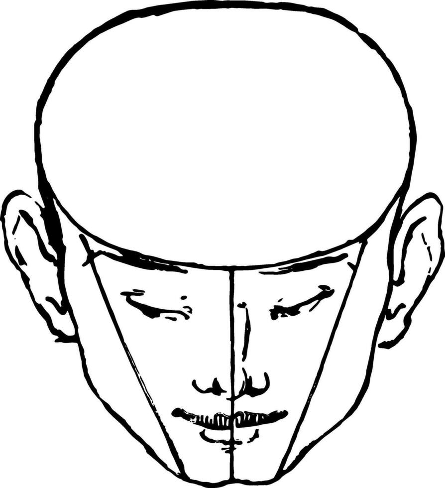 maschio viso mostrato Vintage ▾ incisione. vettore
