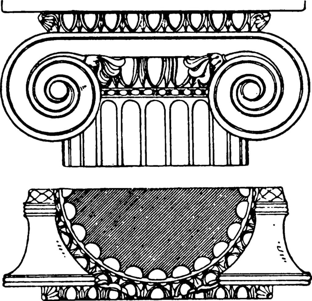 greco-ionico capitale, palmette, Vintage ▾ incisione. vettore