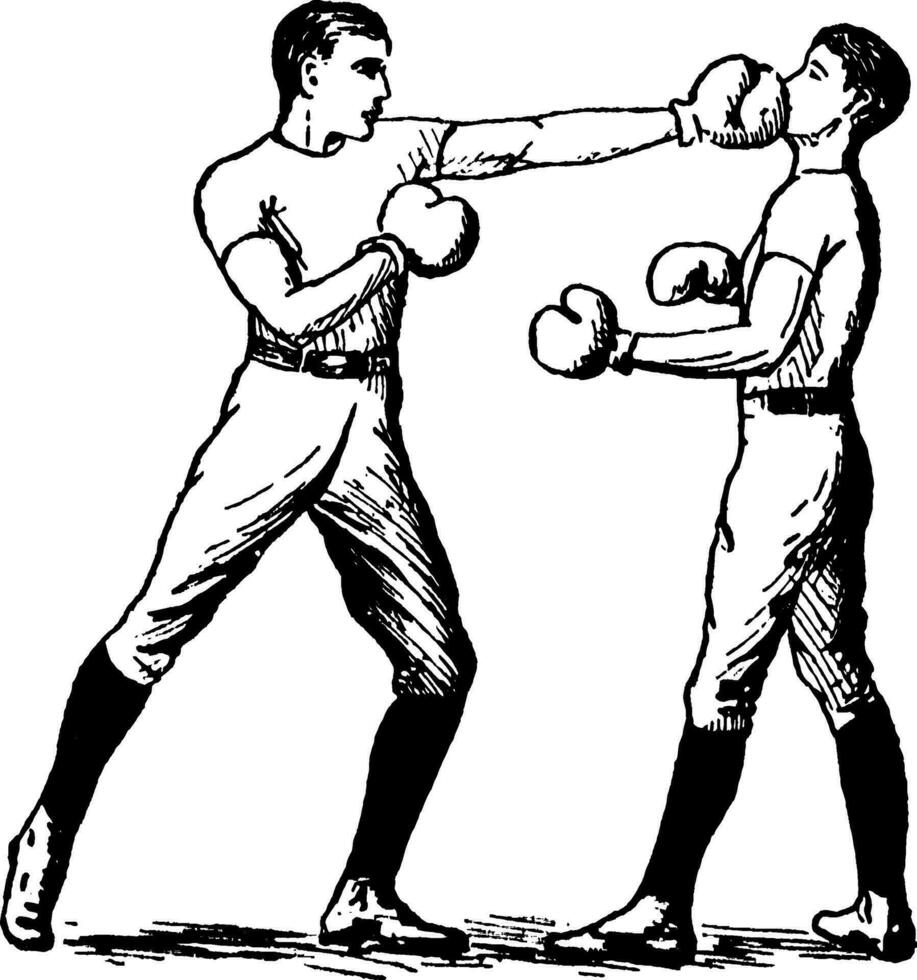 boxe Vintage ▾ illustrazione. vettore