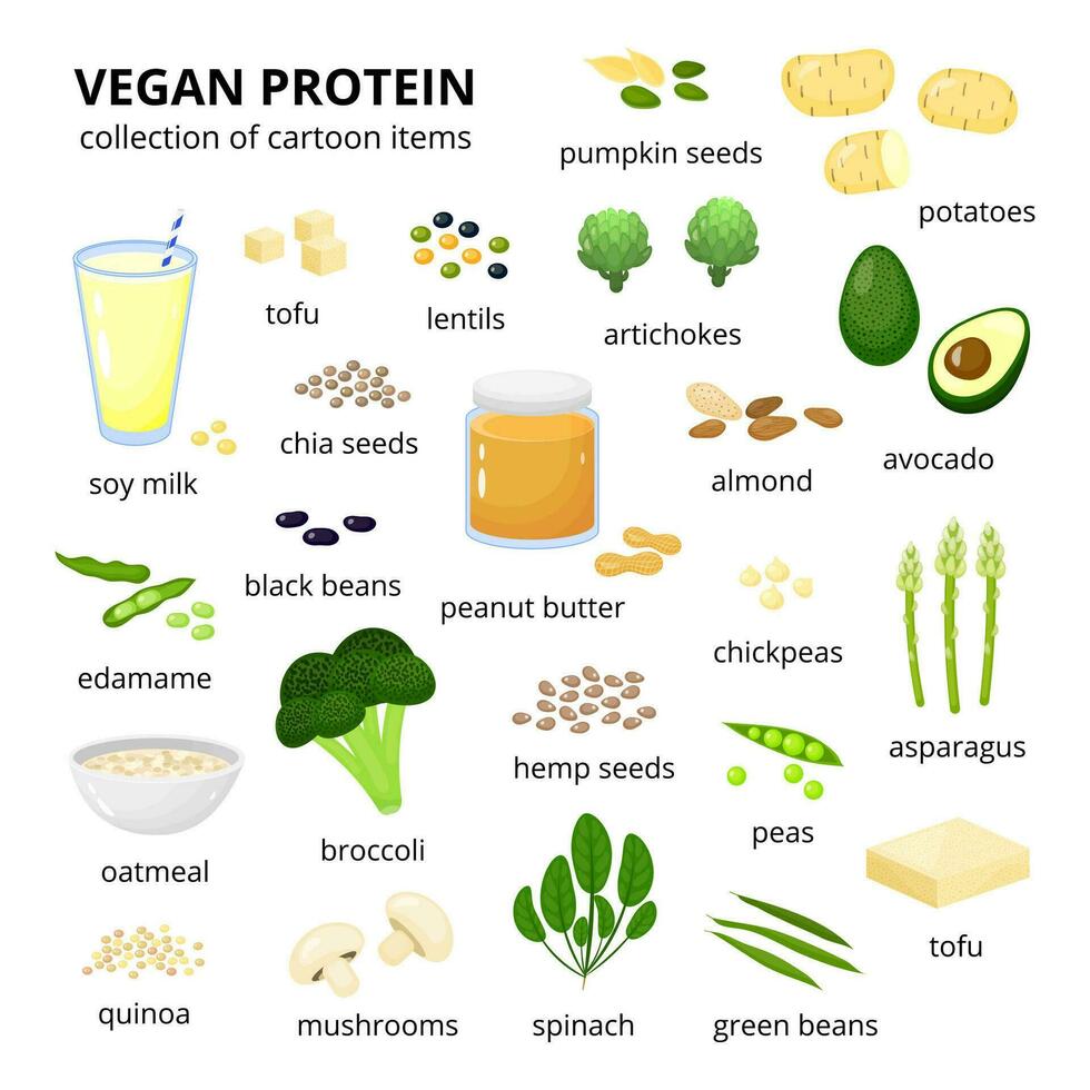 impostato di vegano proteina fonti. vettore