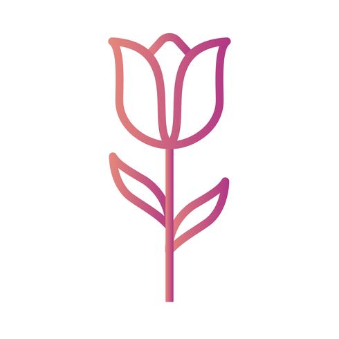 Icona di vettore del tulipano