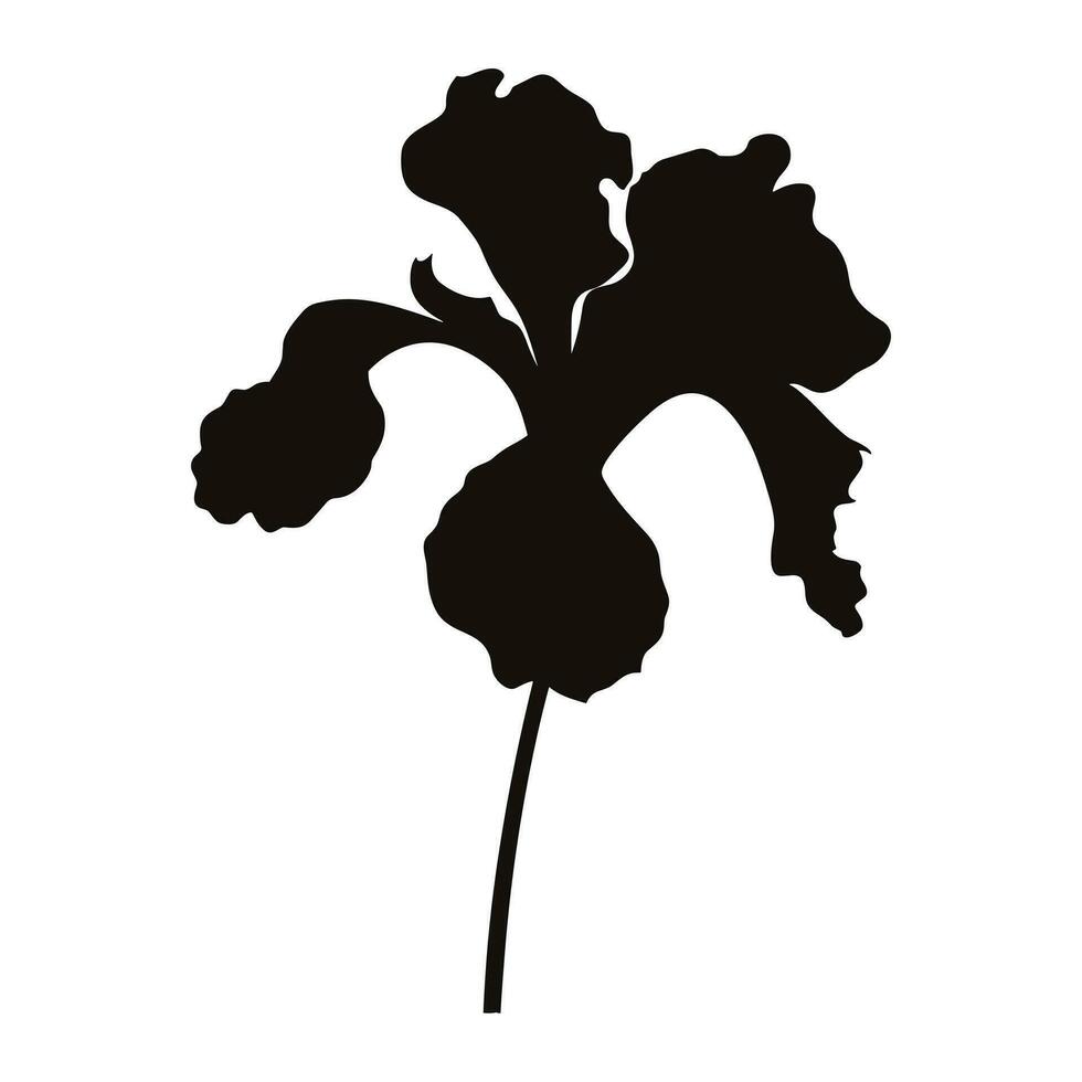 un iris fiore vettore silhouette gratuito