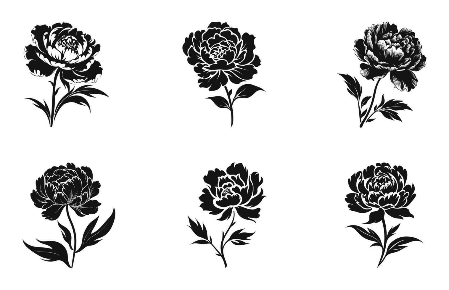 peonia fiore silhouette vettore impostare, peonia fiori clipart fascio