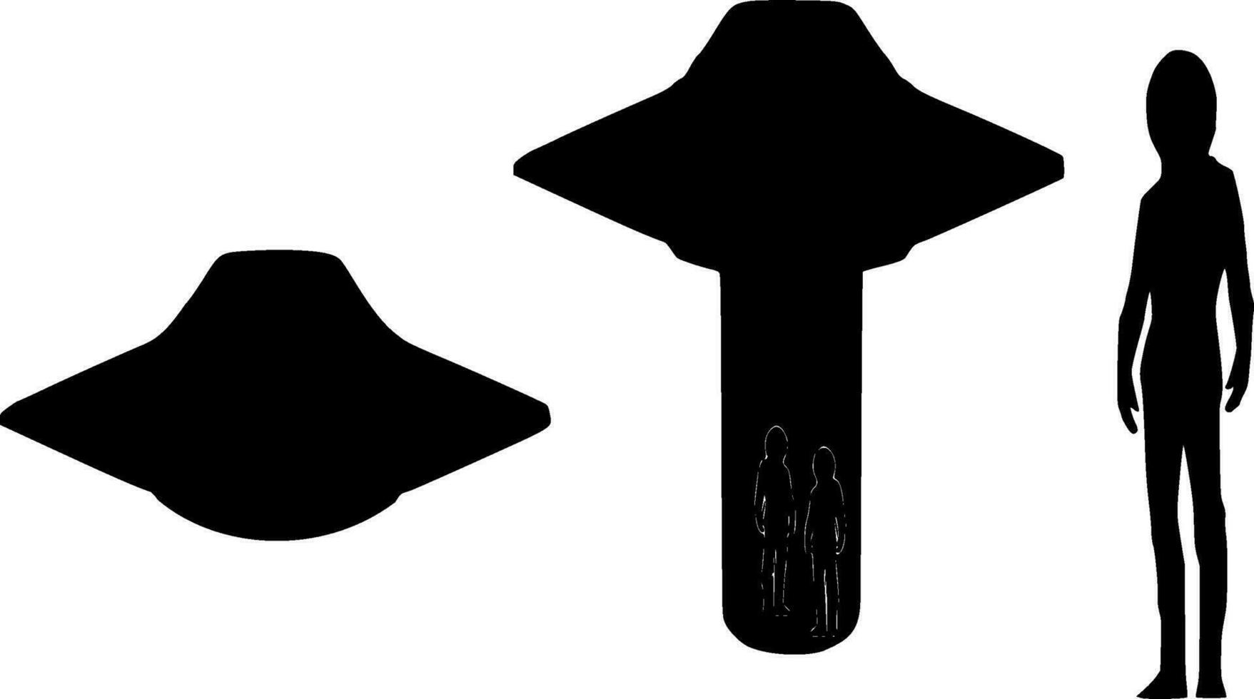 navicella spaziale silhouette vettore su bianca sfondo