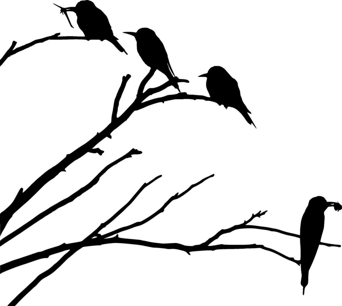 uccelli di la libertà silhouette vettore su bianca sfondo