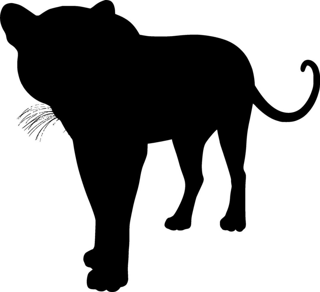 pantera silhouette vettore su bianca sfondo