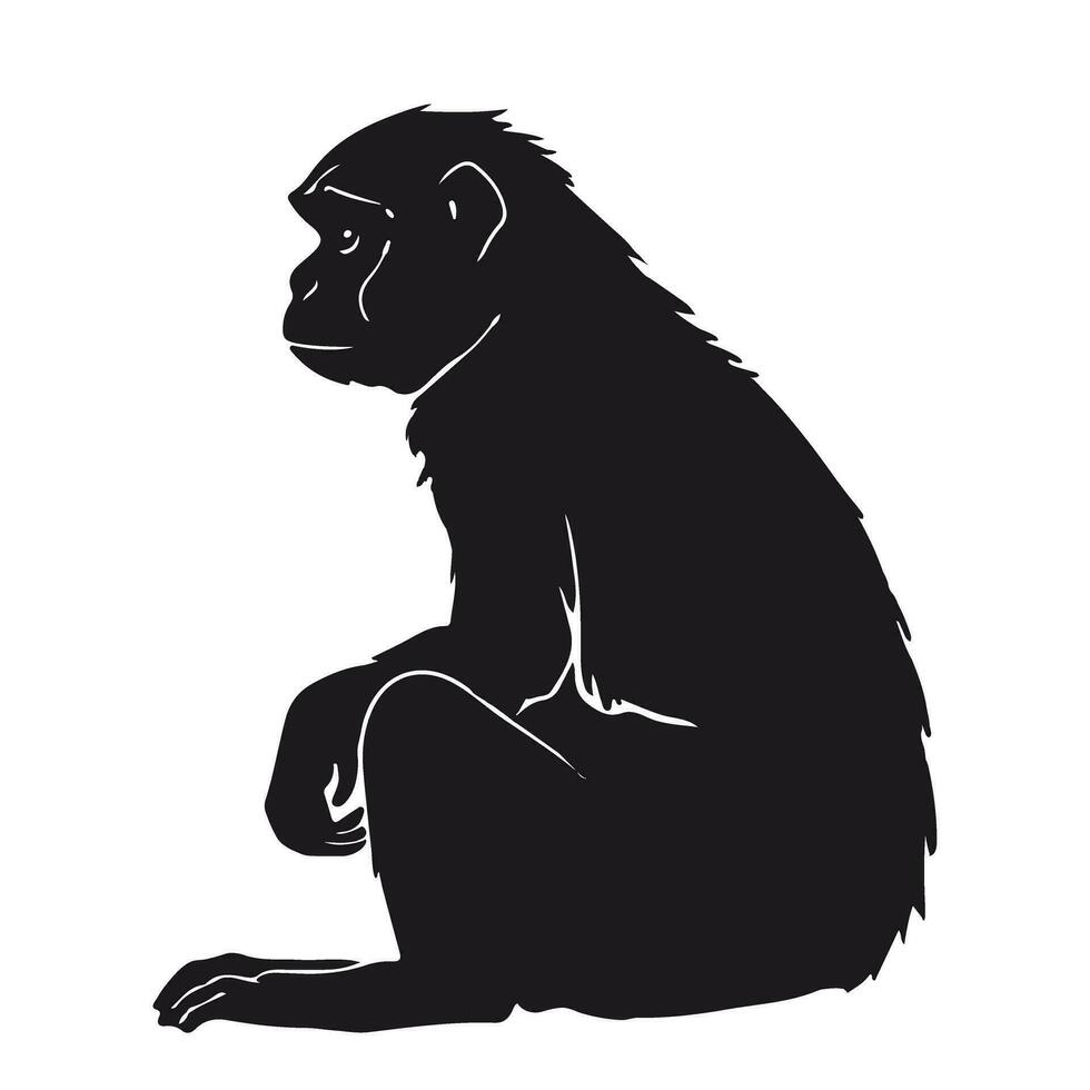 singolo silhouette di realistico scimmia seduta lato Visualizza vettore