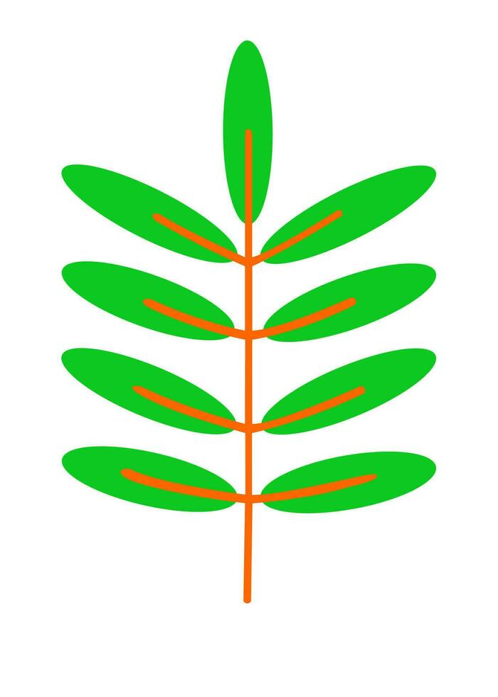verde tropicale le foglie clip arte impostare. isolato elementi su un' bianca sfondo vettore
