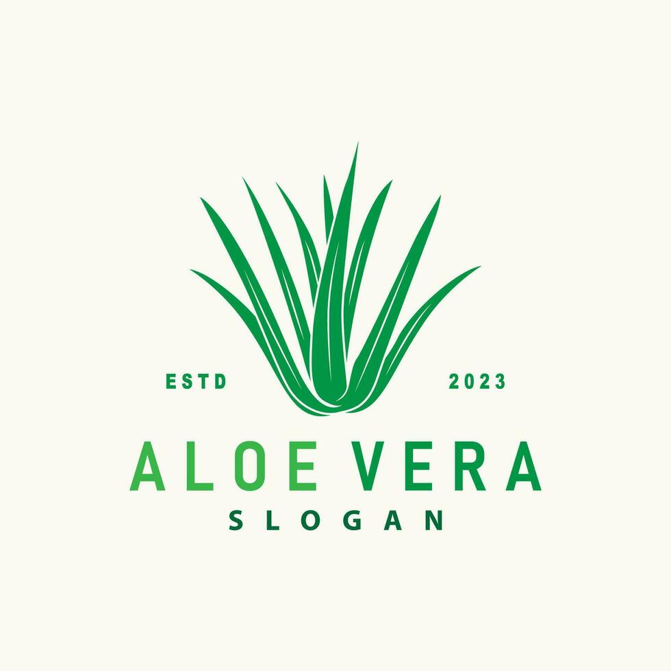 aloe Vera logo design semplice illustrazione Salute erbaceo pianta erba vettore