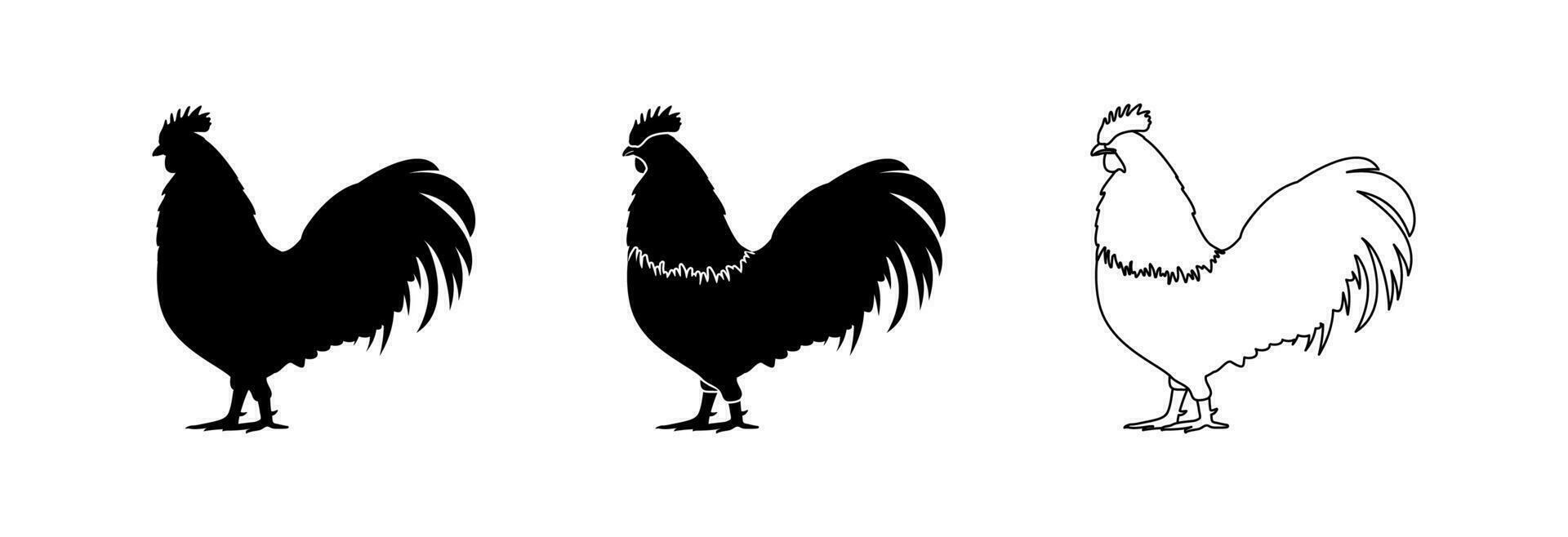 silhouette di un' gallo. vettore