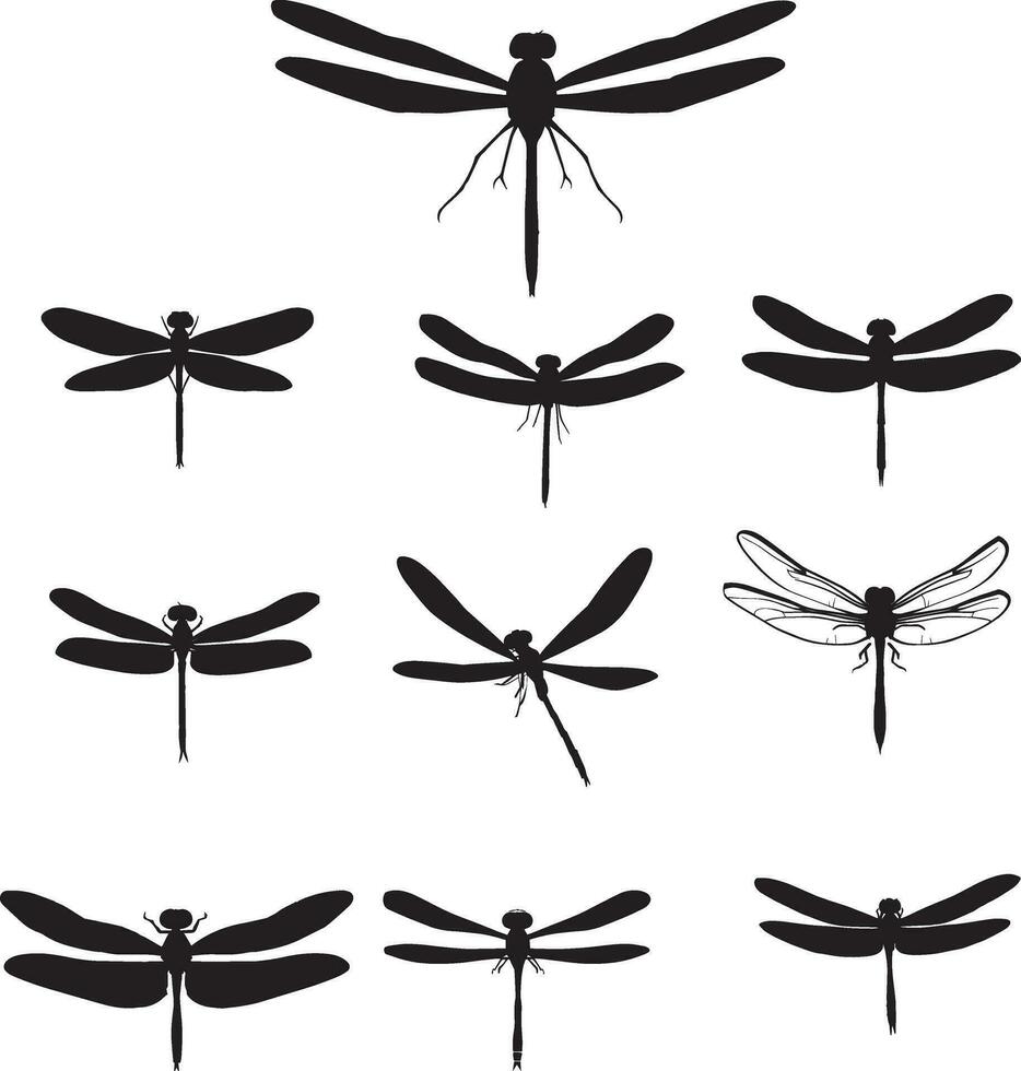 libellula vettore silhouette