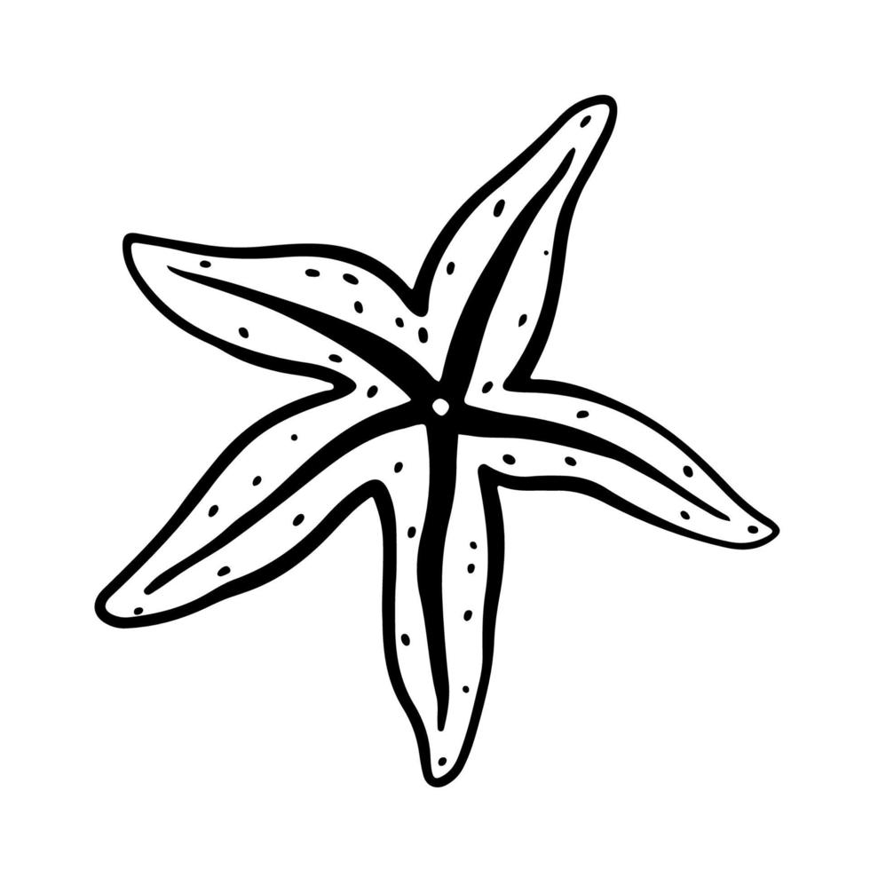 stelle marine isolate su sfondo bianco. illustrazione vettoriale disegnata a mano in stile doodle. perfetto per il tuo progetto, biglietto, logo, decorazioni.