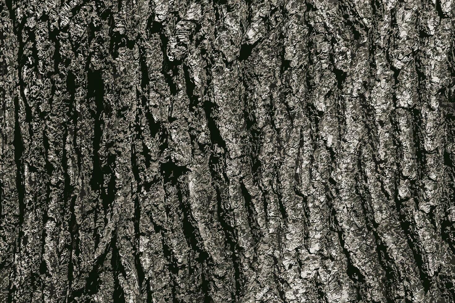 vettore illustrazione di betulla abbaiare struttura. il struttura di il betulla abbaio. betulla abbaiare sfondo. betulla albero tronco, betula pendola.