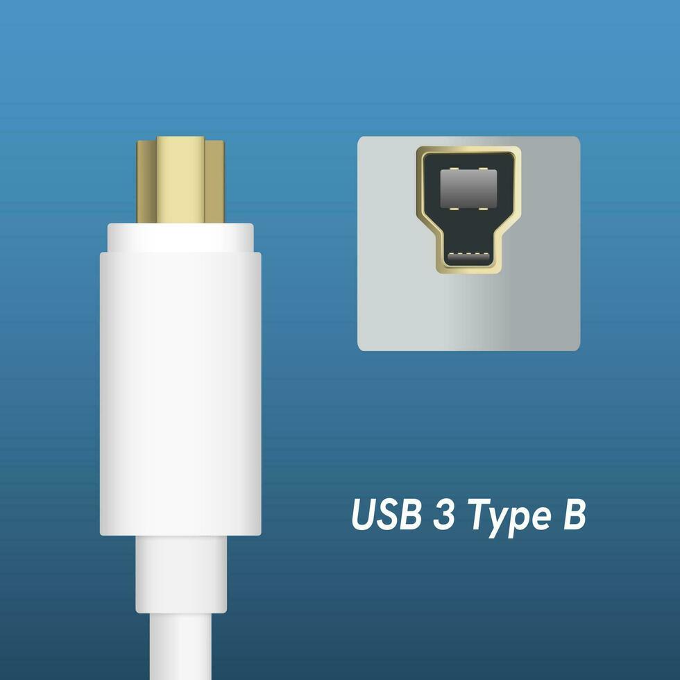USB 3 genere B cavo spine e presa di corrente isolato su blu sfondo. eps10 vettore. vettore