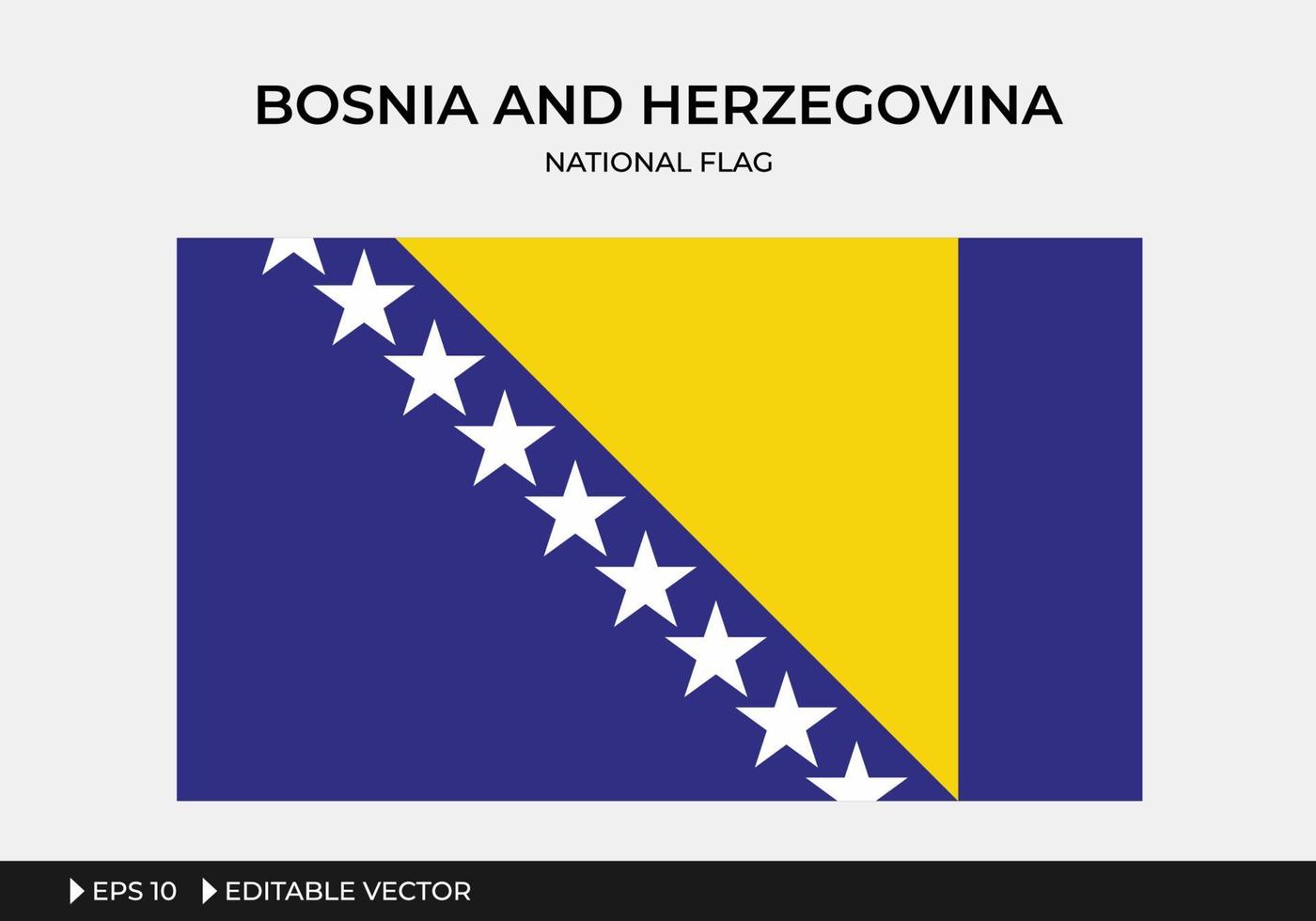 illustrazione della bandiera nazionale della bosnia e dell'erzegovina vettore