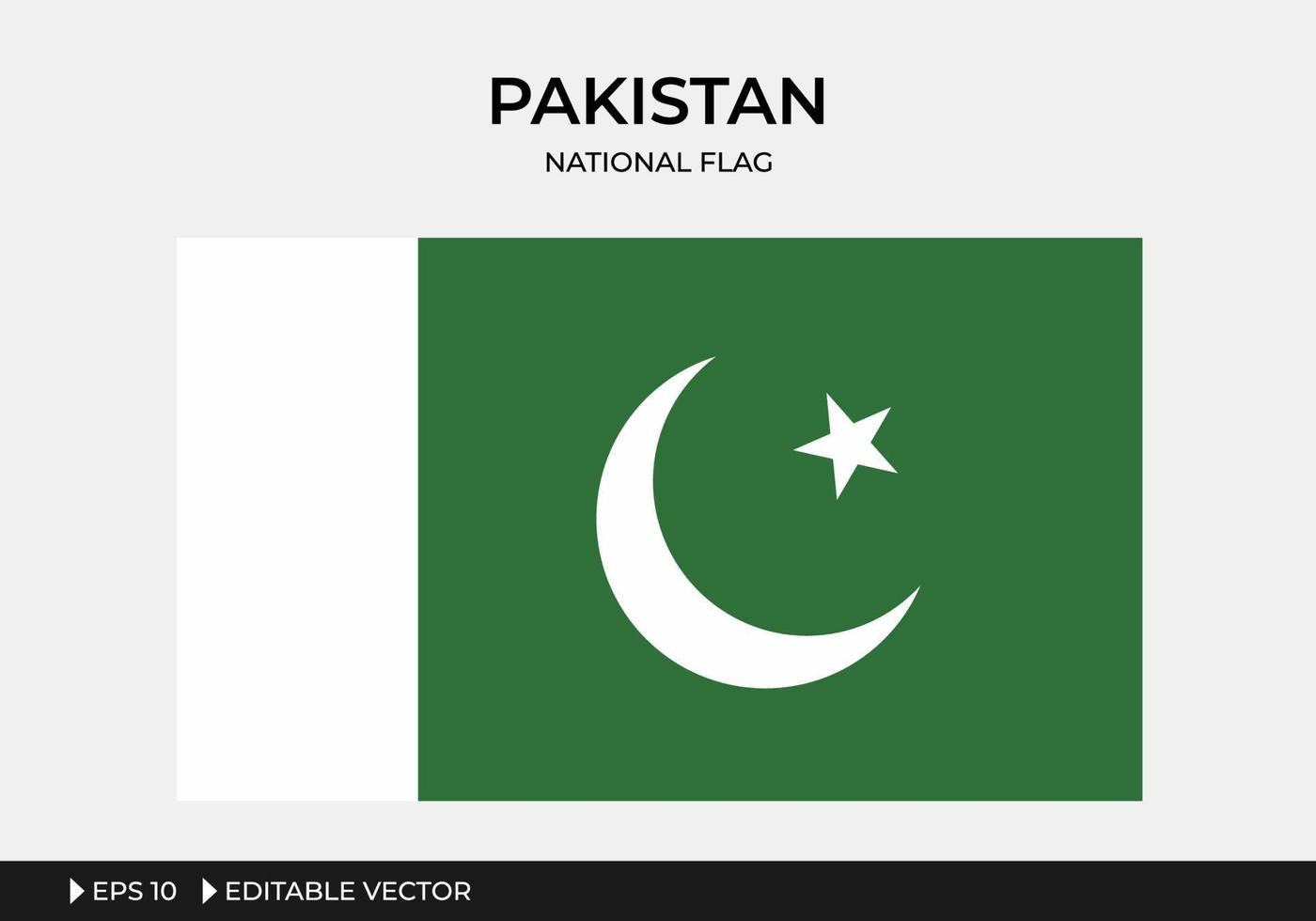 illustrazione della bandiera nazionale del Pakistan vettore