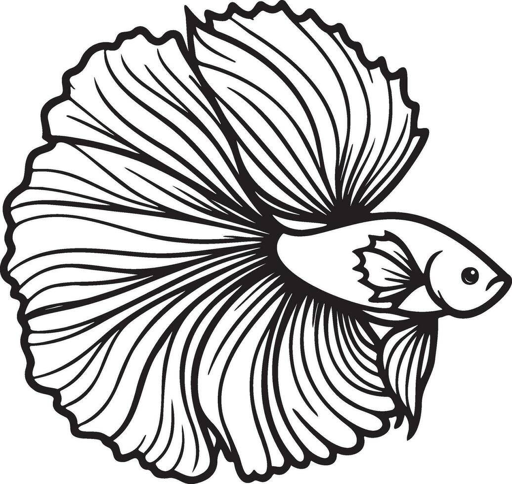 betta splendens pesce schizzo disegno. vettore