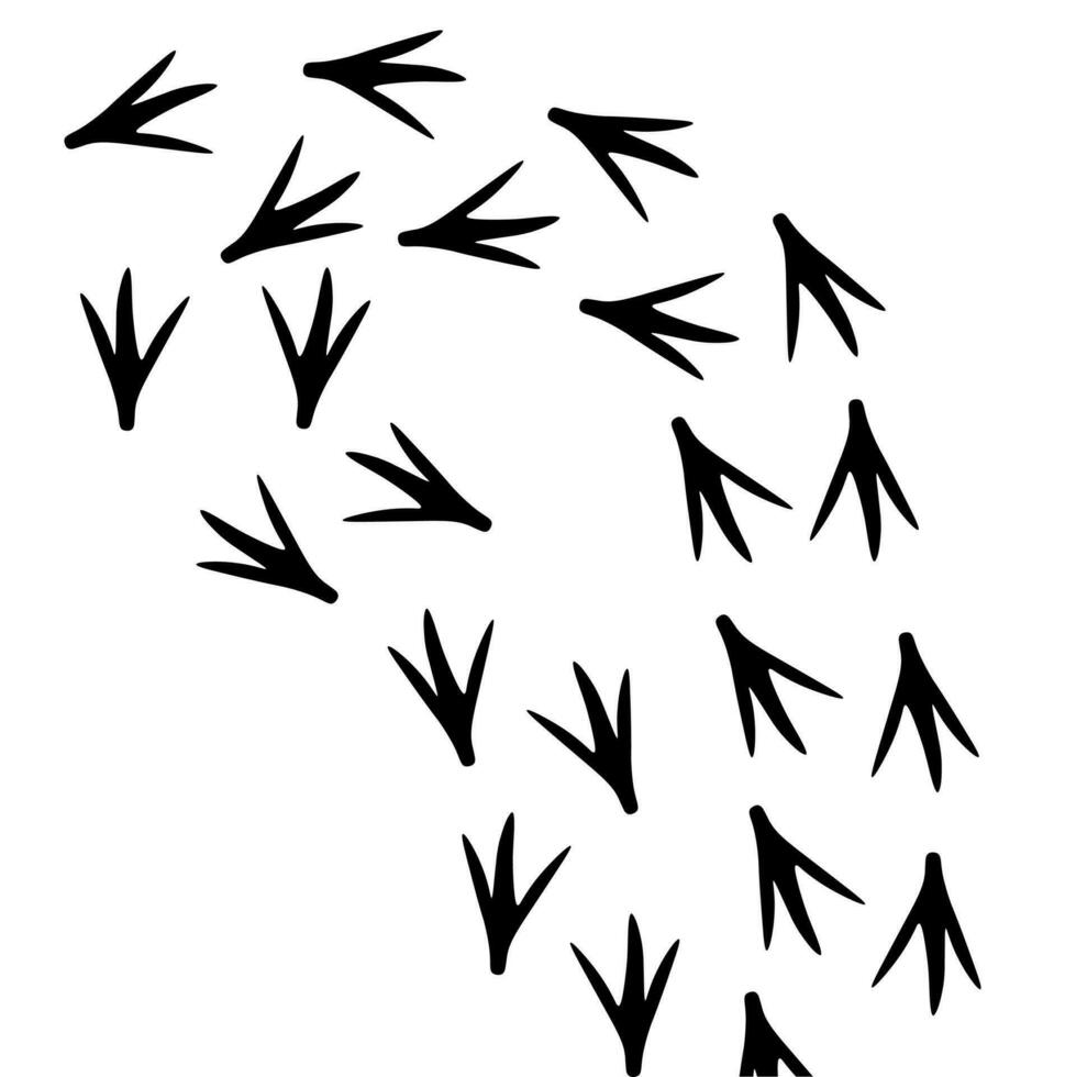 vettore silhouette di pollo impronte su bianca sfondo. animale zampa modello per sfondo, manifesto, logo.