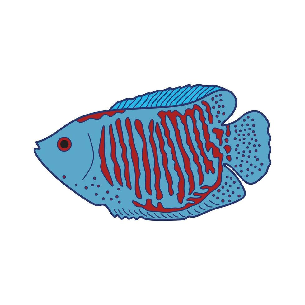 cartone animato vettore illustrazione nano gourami pesce icona isolato su bianca sfondo