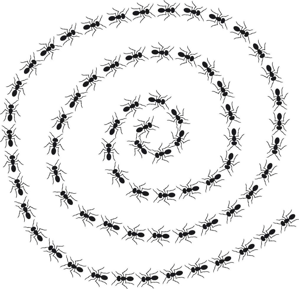 un' sentiero di formiche in esecuzione. Visualizza a partire dal sopra. pista formiche spirale. vettore