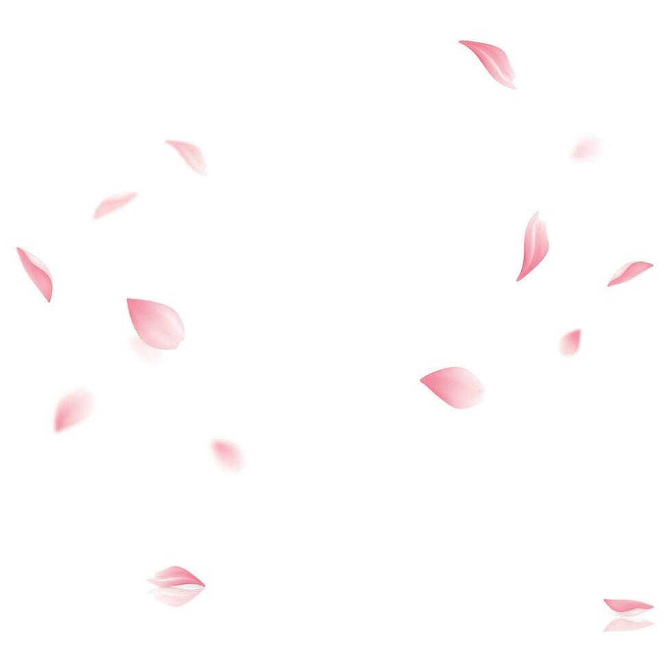 vettore sakura volante petali su trasparente sfondo