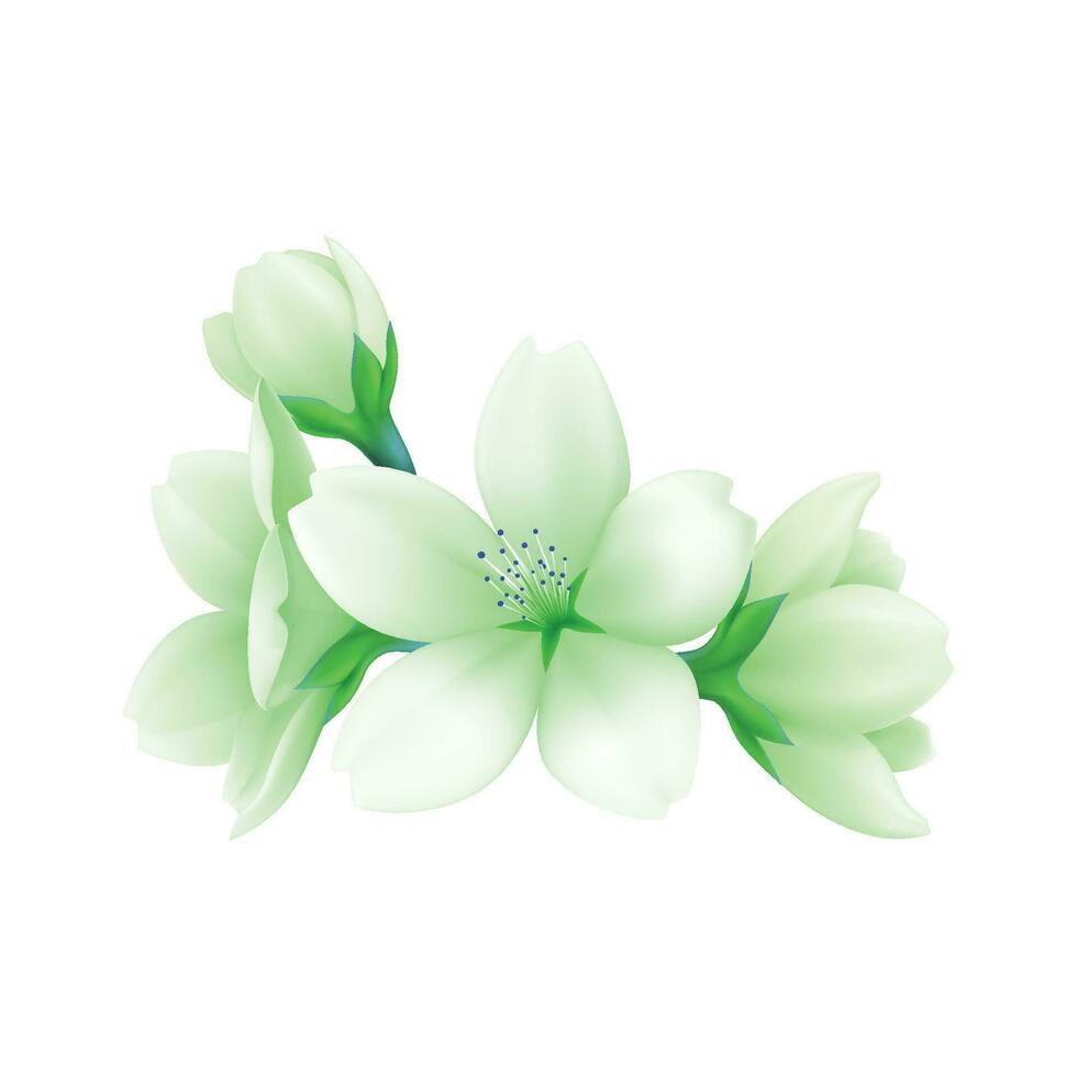 vettore illustrazione di verde fiore su bianca