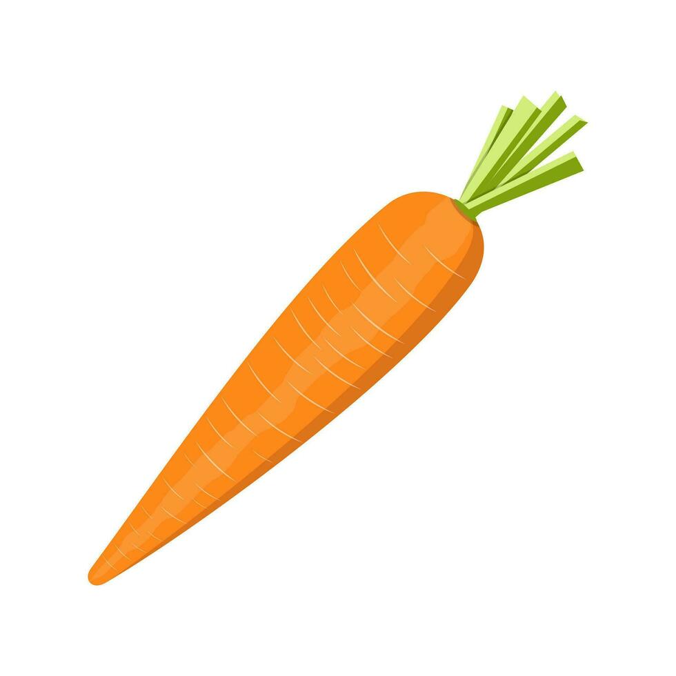 carota verdura isolato su bianca. vettore illustrazione nel piatto stile