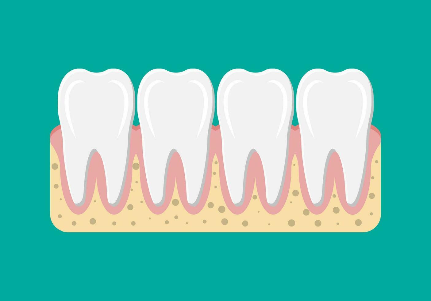 denti icona con gomma. umano denti nel piatto stile. dentale concetto. igiene e igiene orale. vettore illustrazione